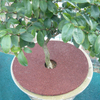 Red Big Rubber Mulch Tree Ring 